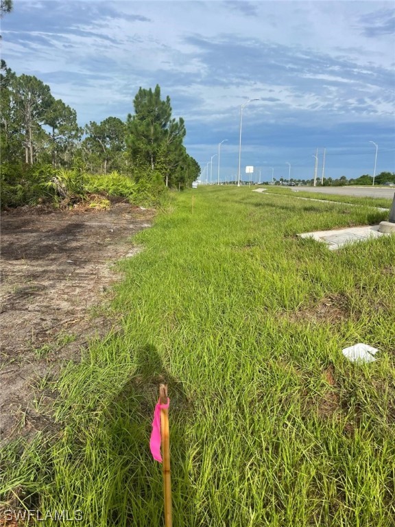 2712 Meadow Road Lehigh Acres, FL 33913 - Photo 3 of 6 a backyard of a house with a yard and potted plants