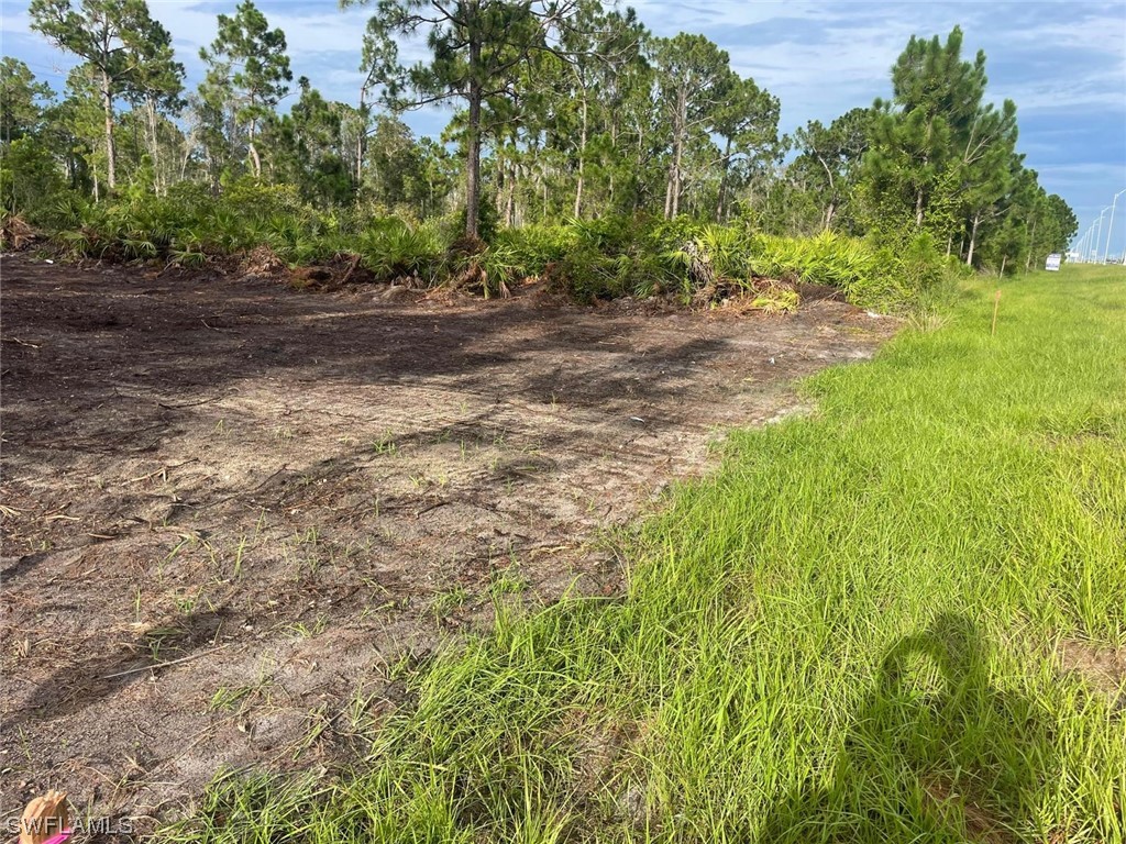 2712 Meadow Road Lehigh Acres, FL 33913 - Photo 5 of 6 a view of a yard with plants and large trees
