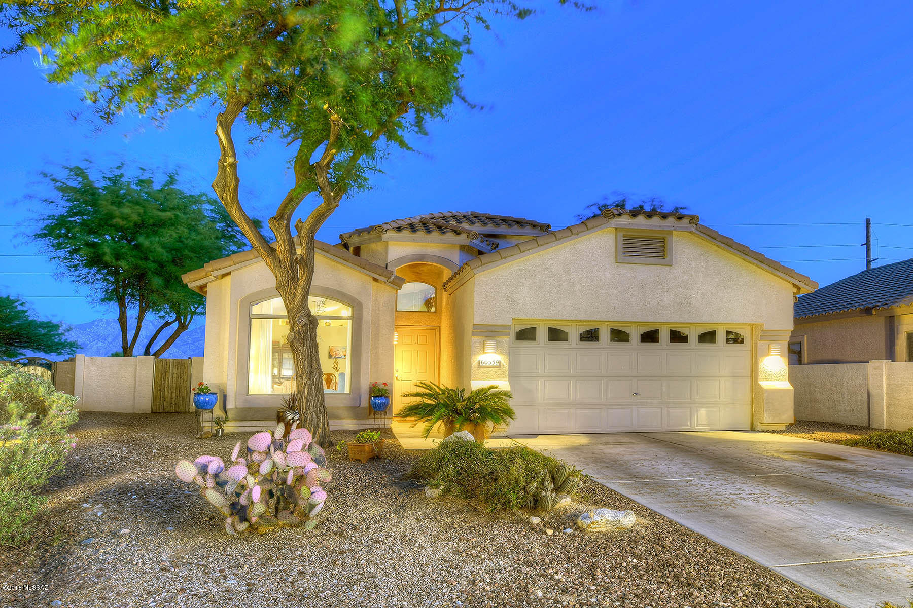60559 East Blackcrest Loop Tucson, AZ 85739 - Photo 33 of 33
