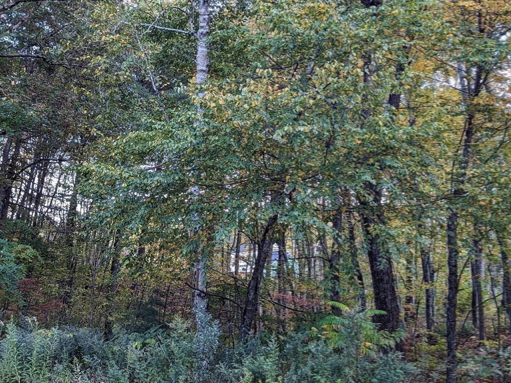 100 Rice Road East Brookfield, MA 01515 - Photo 37 of 42