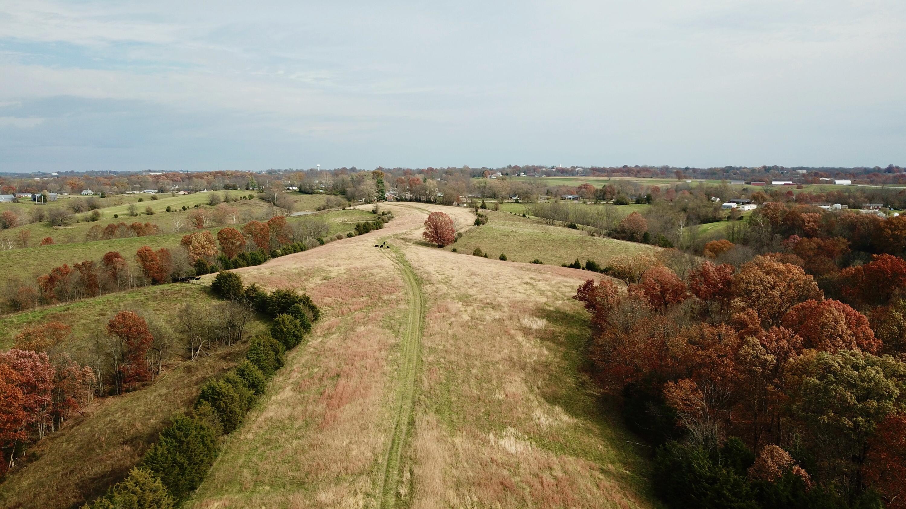 0 Gratz Road Owenton, KY 40359 - Photo 10 of 40