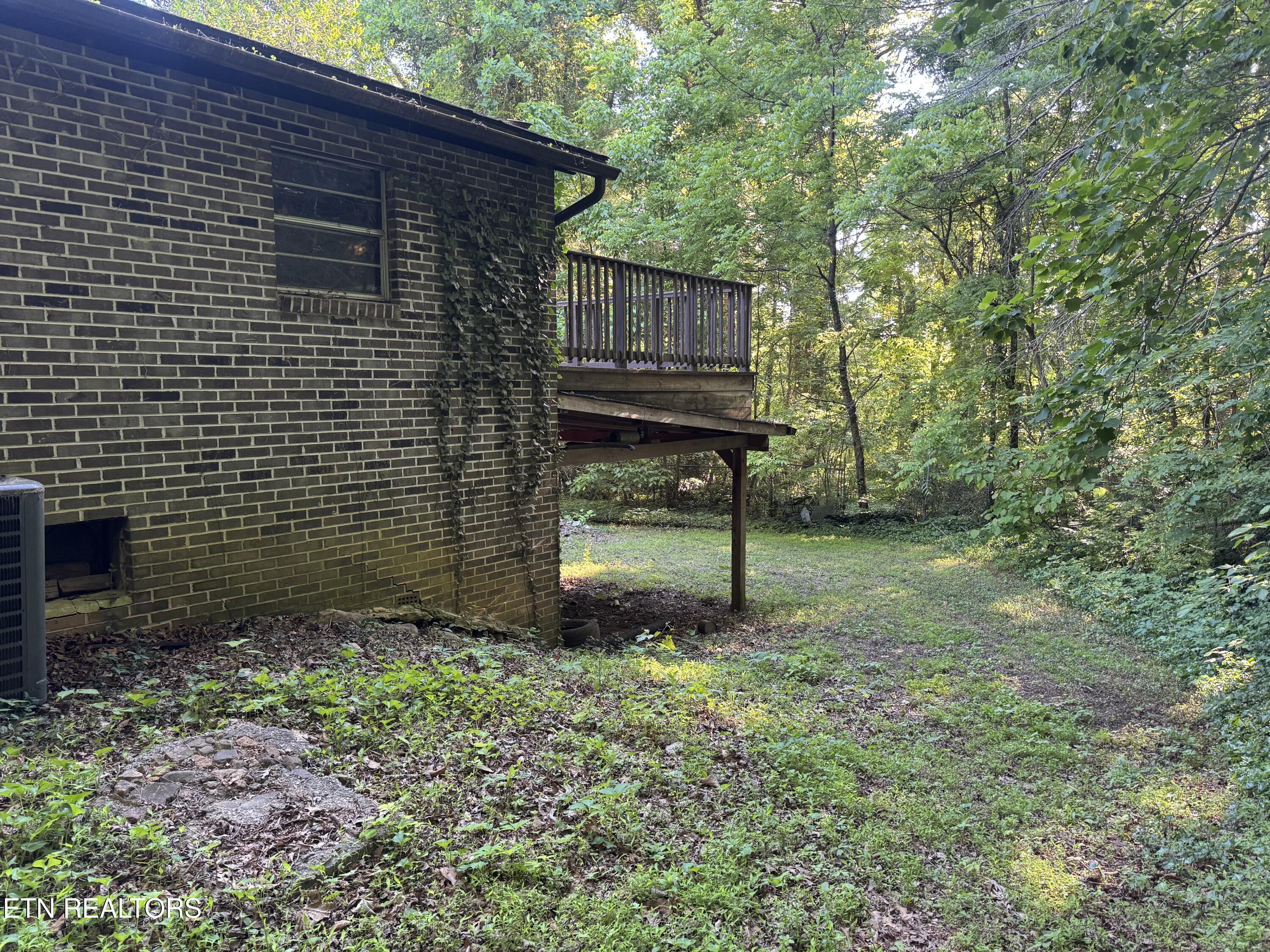 992 Chicken Hollow Road Newport, TN 37821 - Photo 26 of 37 IMG_8586