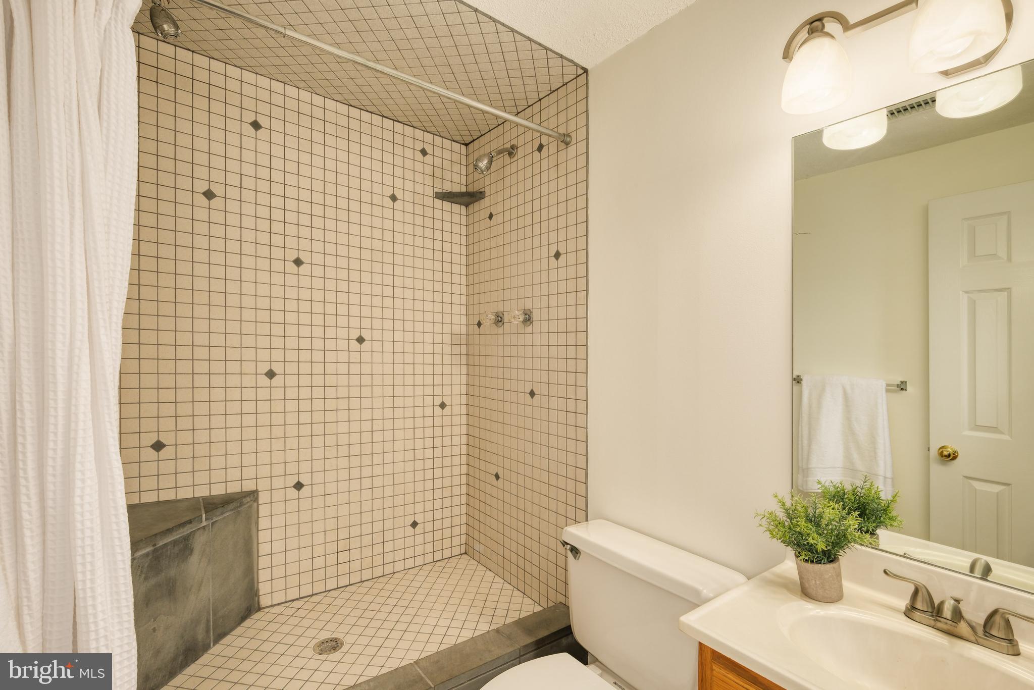 8174 Cliffview Avenue Springfield, VA 22153 - Photo 47 of 55 LL full bath
