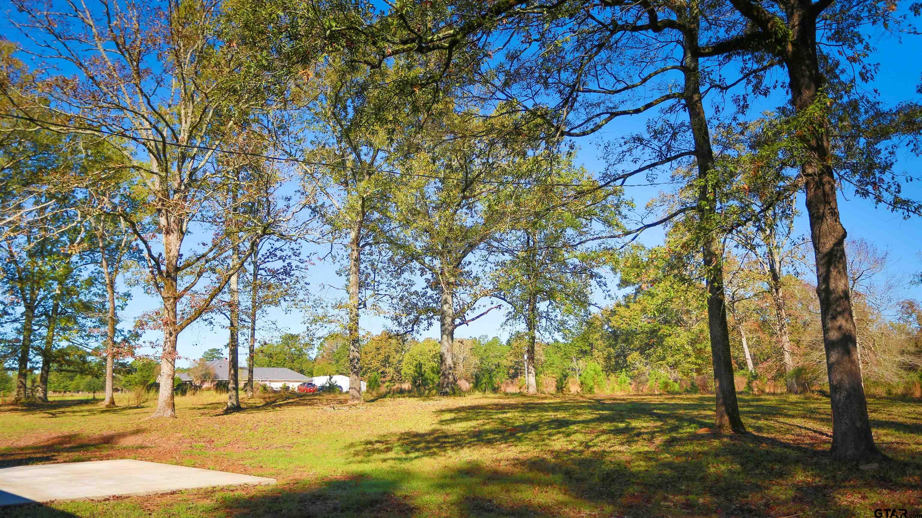 875 Old Town Road Marshall, TX 75672 - Photo 31 of 34 a view of road with large trees