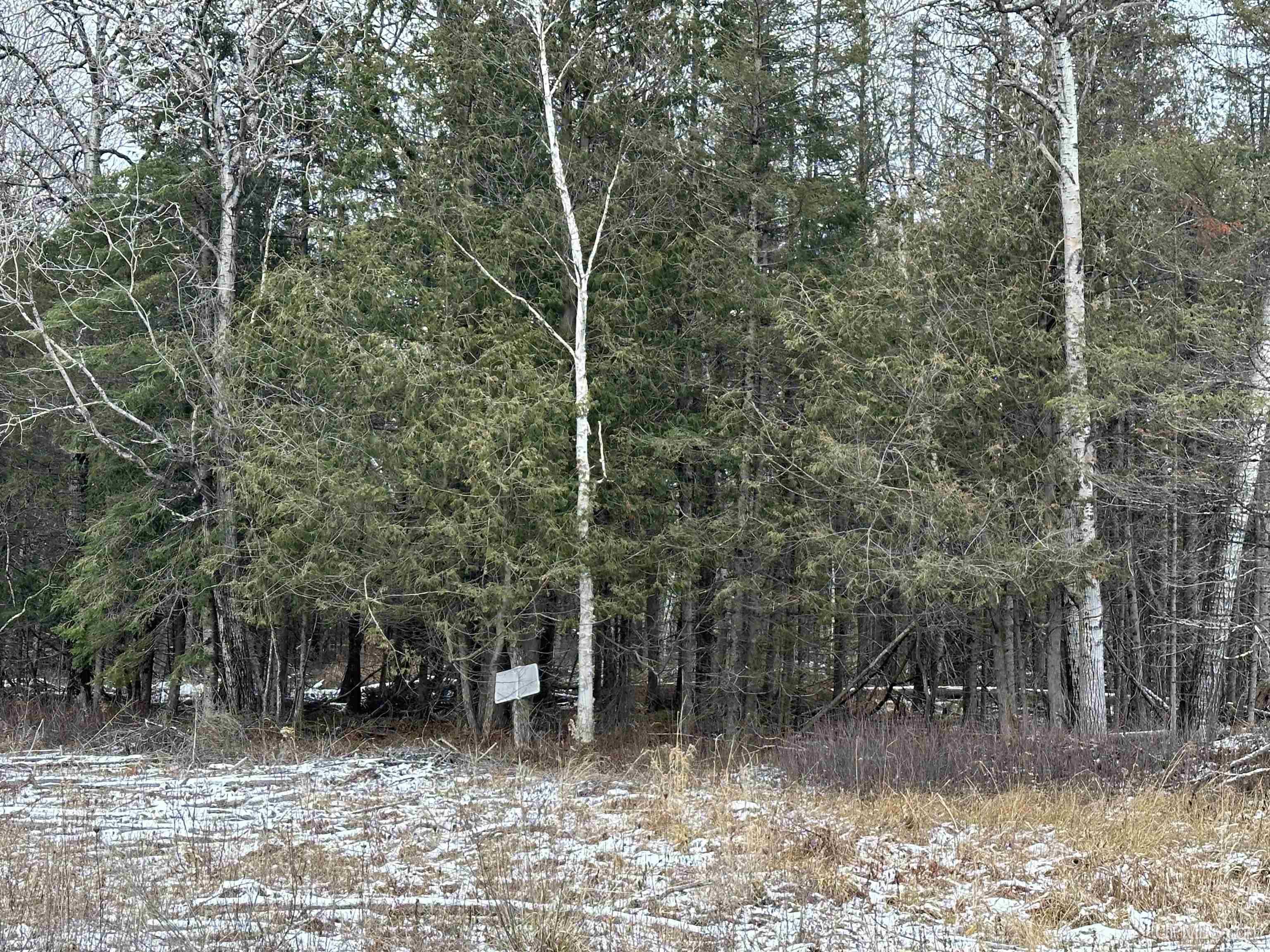 53-a Tbd I Road Escanaba, MI 49829 - Photo 3 of 11