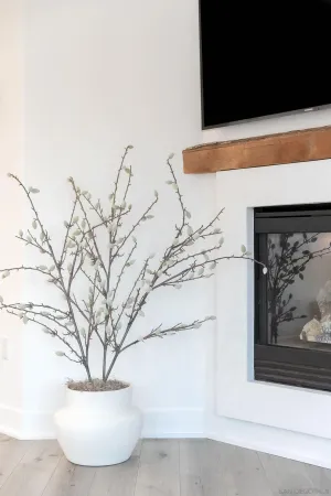 $13,500 | 229 Bonair Street, La Jolla, CA 92037