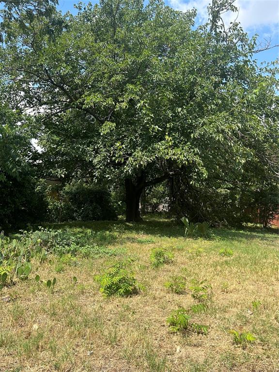 6 North Ravinia Drive Dallas, TX 75211 - Photo 2 of 2 a view of a backyard