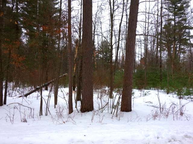 Lot 195 Timber Lane Rhinelander, WI 54501 - Photo 3 of 12 Gallery Image 3