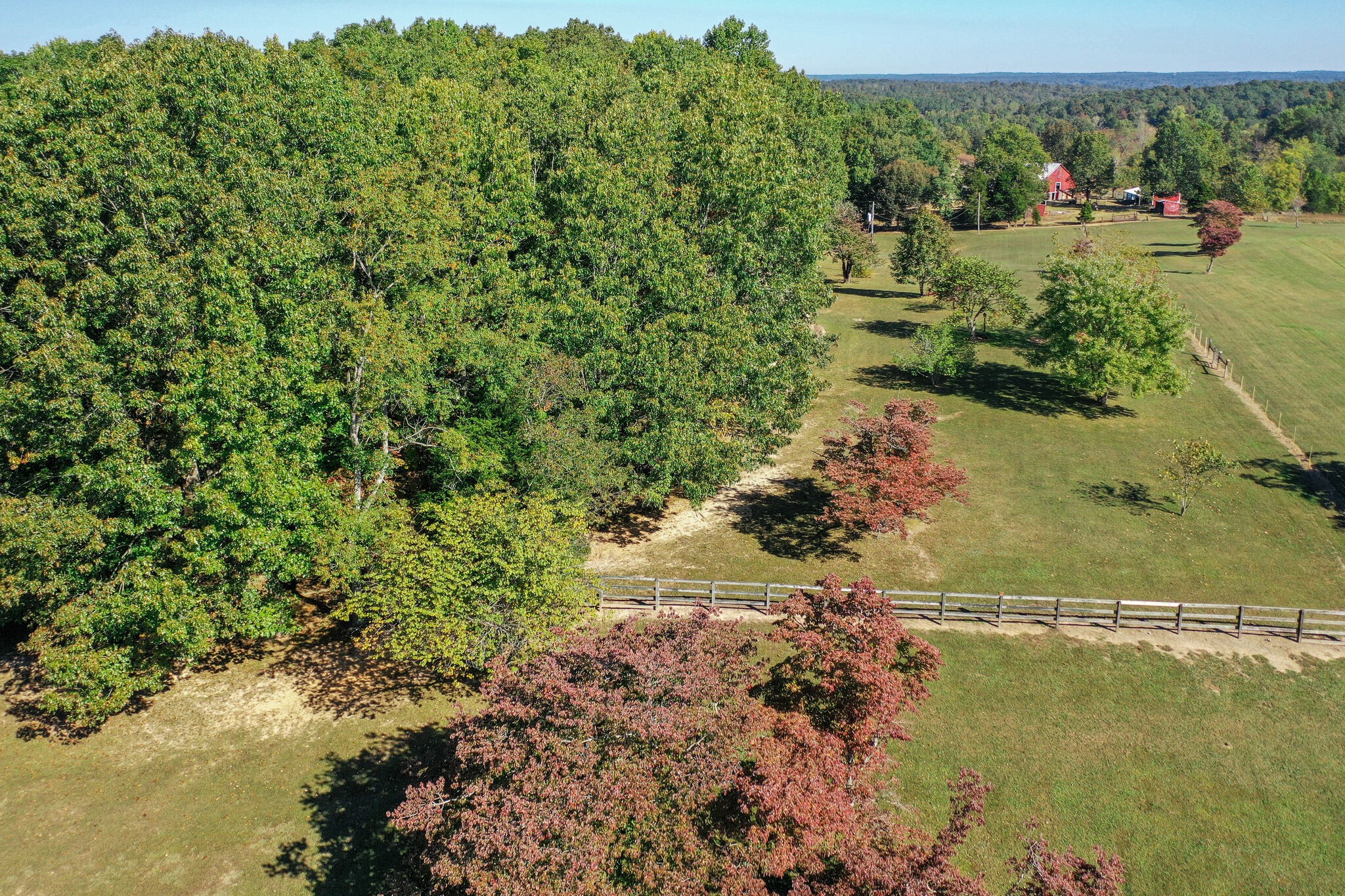 454 Wilson Hollow Road Dickson, TN 37055 - Photo 4 of 44 Gallery Image 4
