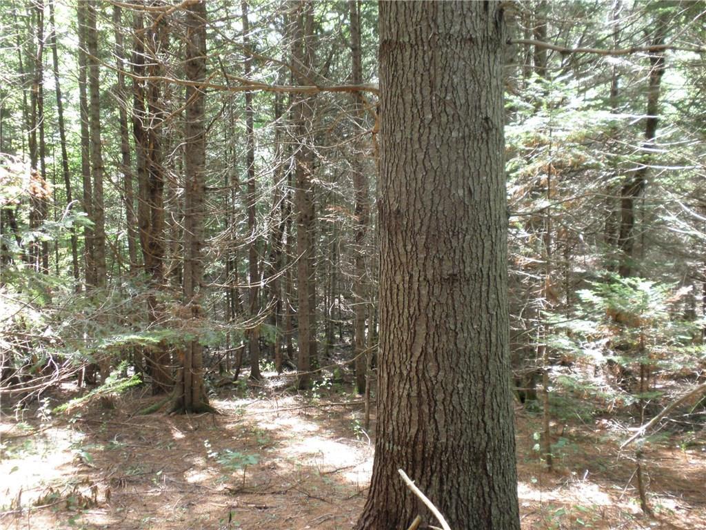 Off North Chester Road Lincoln, ME 04457 - Photo 12 of 15 Photo