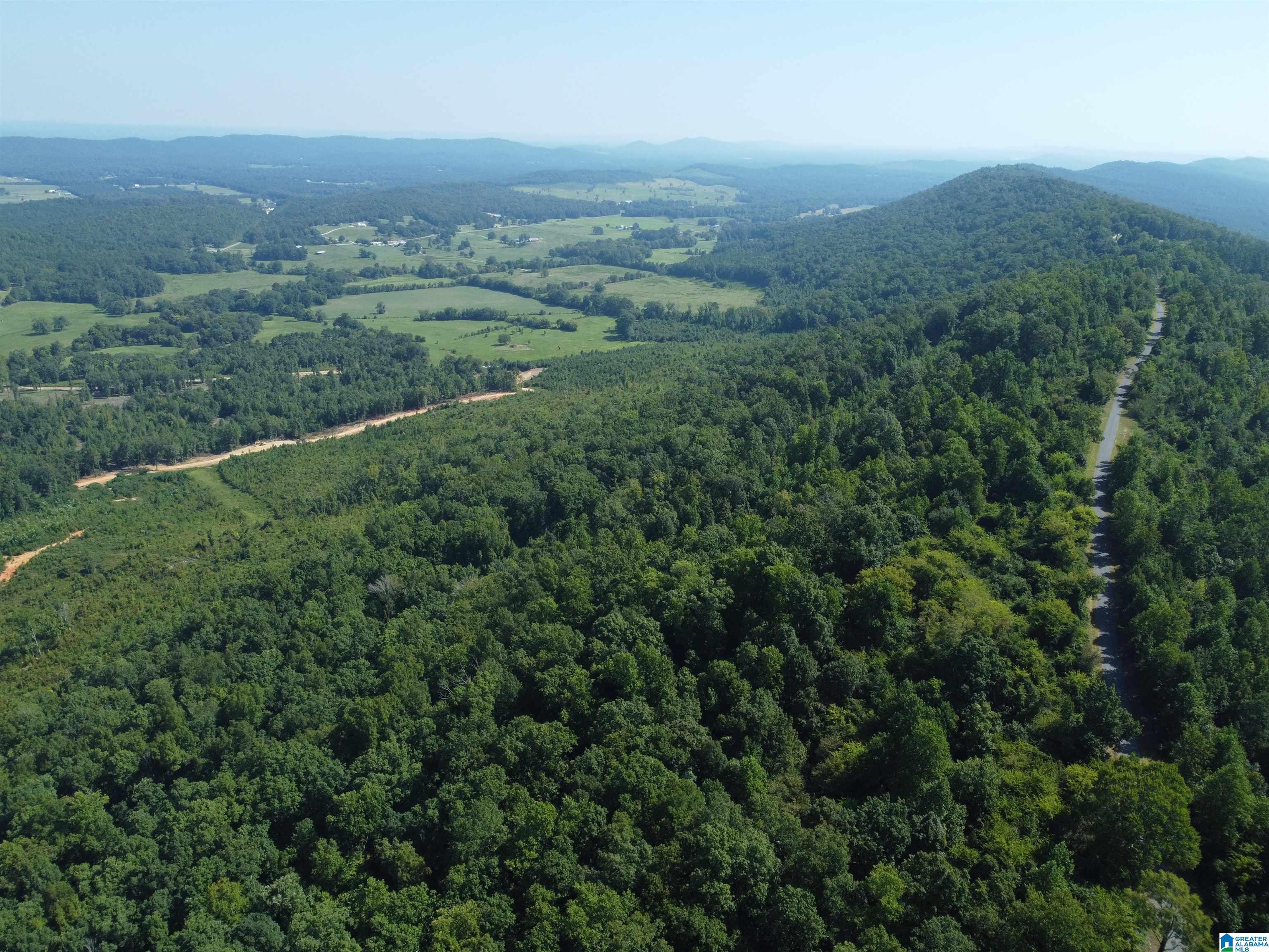 0 Beaver Mountain Road Ashville, AL 35953 - Photo 20 of 40