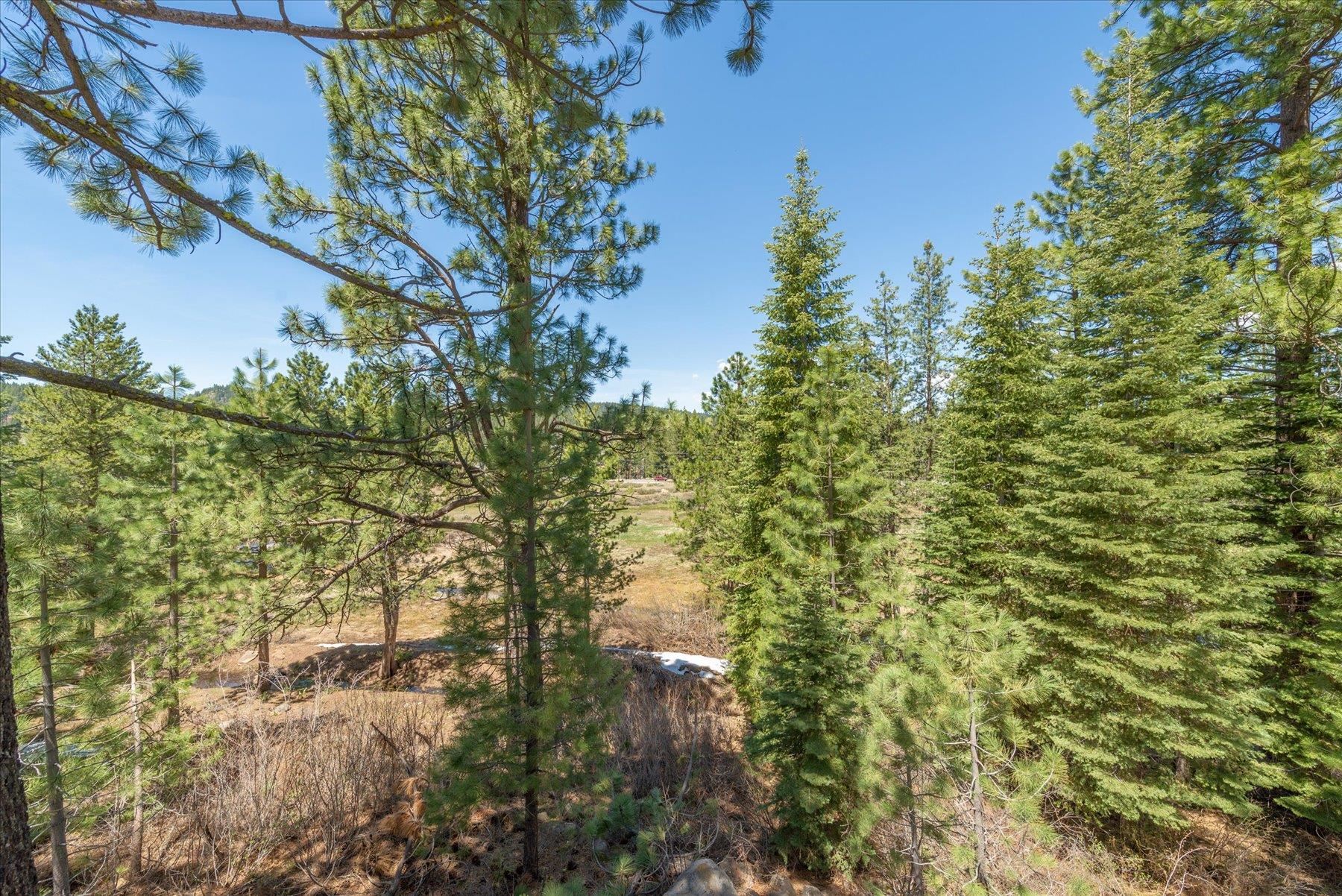 10272 Schaffer Drive Truckee, CA 96161 - Photo 12 of 20 a view of a yard