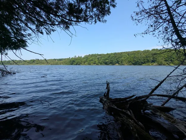 $79,900 | Lot #8 Kolm Lane, Garland, ME 04939