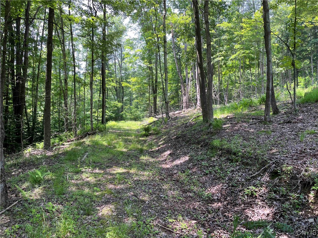 0 Gleason Hollow Road Belfast, NY 14711 - Photo 15 of 27 Gallery Image 15