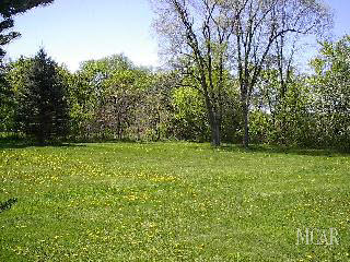 11265 Dennison Road Milan, MI 48160 - Photo 20 of 20 946649-19.JPG