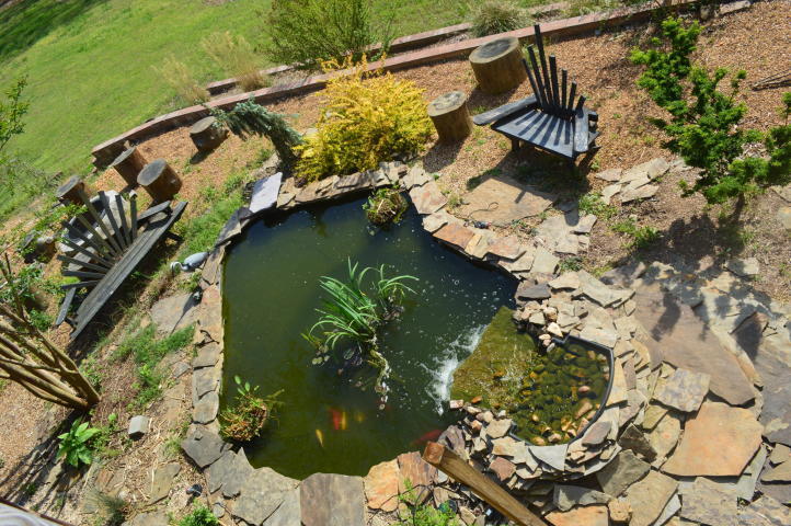 780 Cliffside Road Pikeville, TN 37367 - Photo 19 of 25 coi pond 2