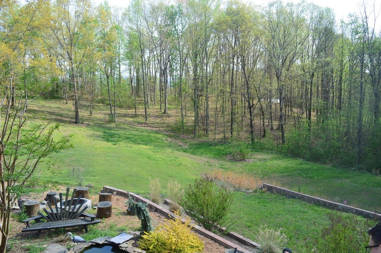 780 Cliffside Road Pikeville, TN 37367 - Photo 20 of 25 backyard