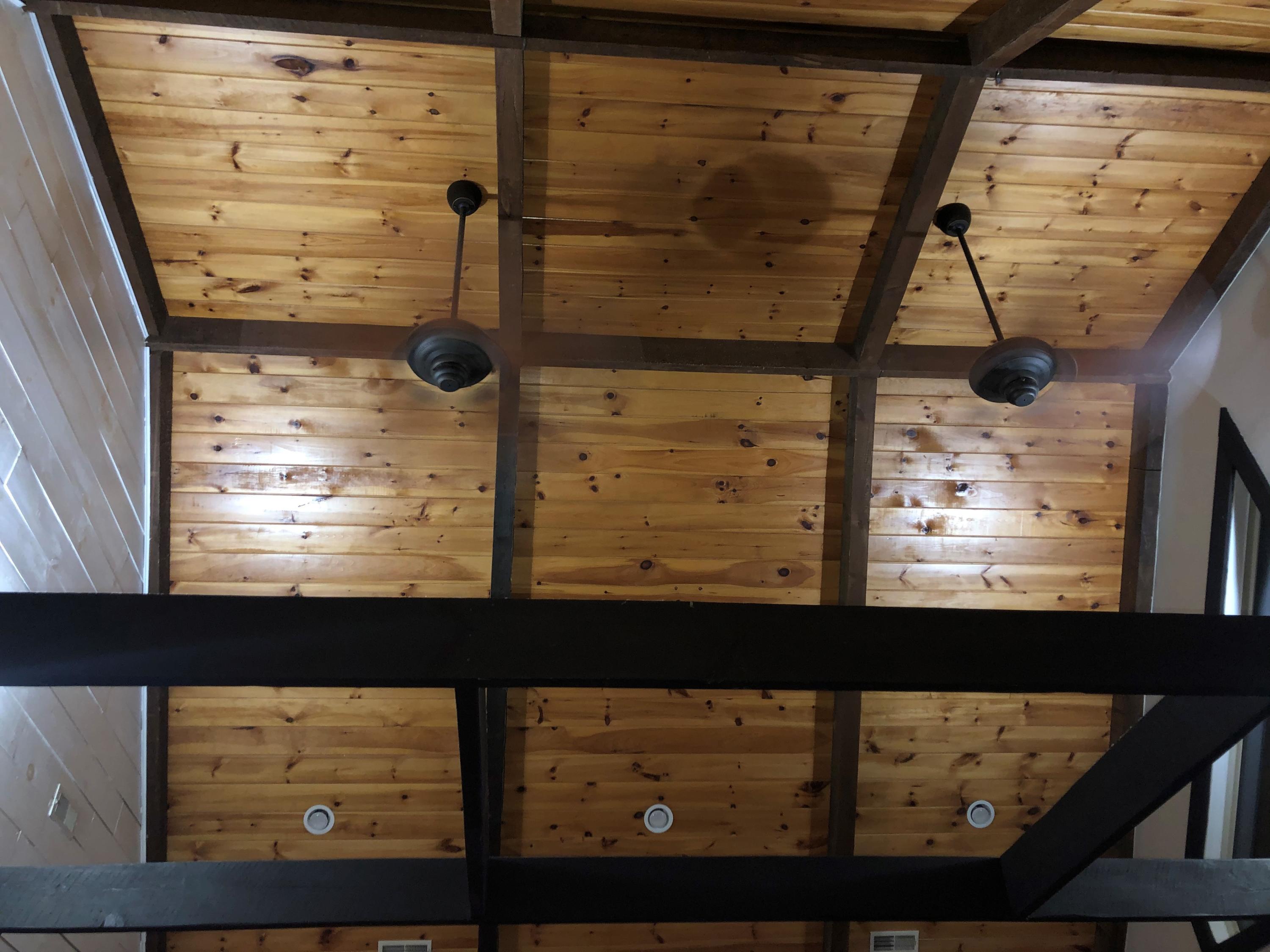 780 Cliffside Road Pikeville, TN 37367 - Photo 4 of 25 ceiling
