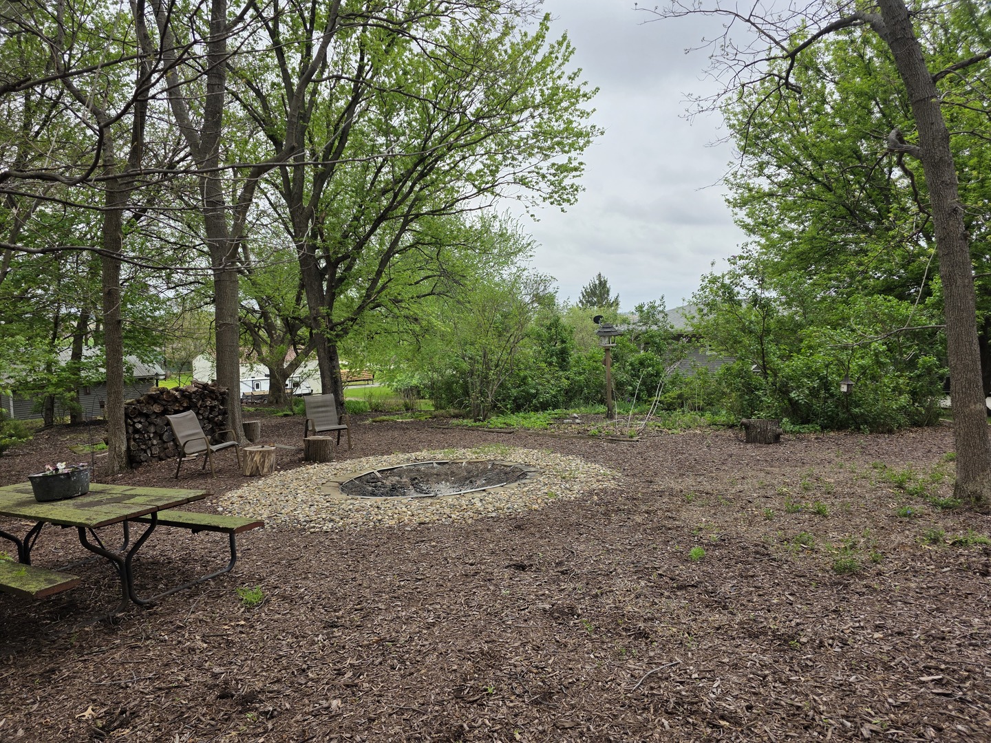15510 Lomax Road Prophetstown, IL 61277 - Photo 21 of 24 a view of a yard with a tree