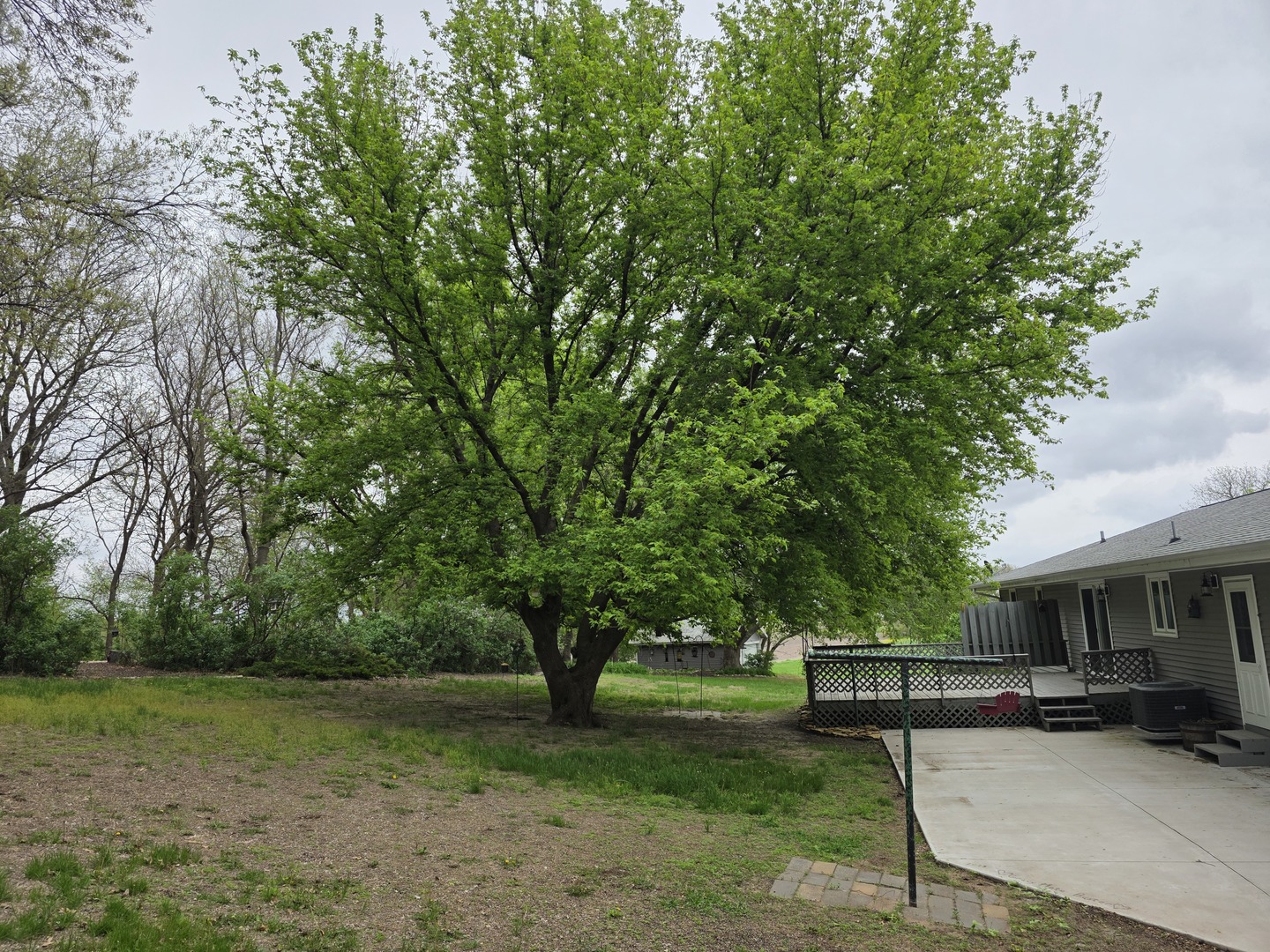 15510 Lomax Road Prophetstown, IL 61277 - Photo 22 of 24 a view of backyard with seating and green space