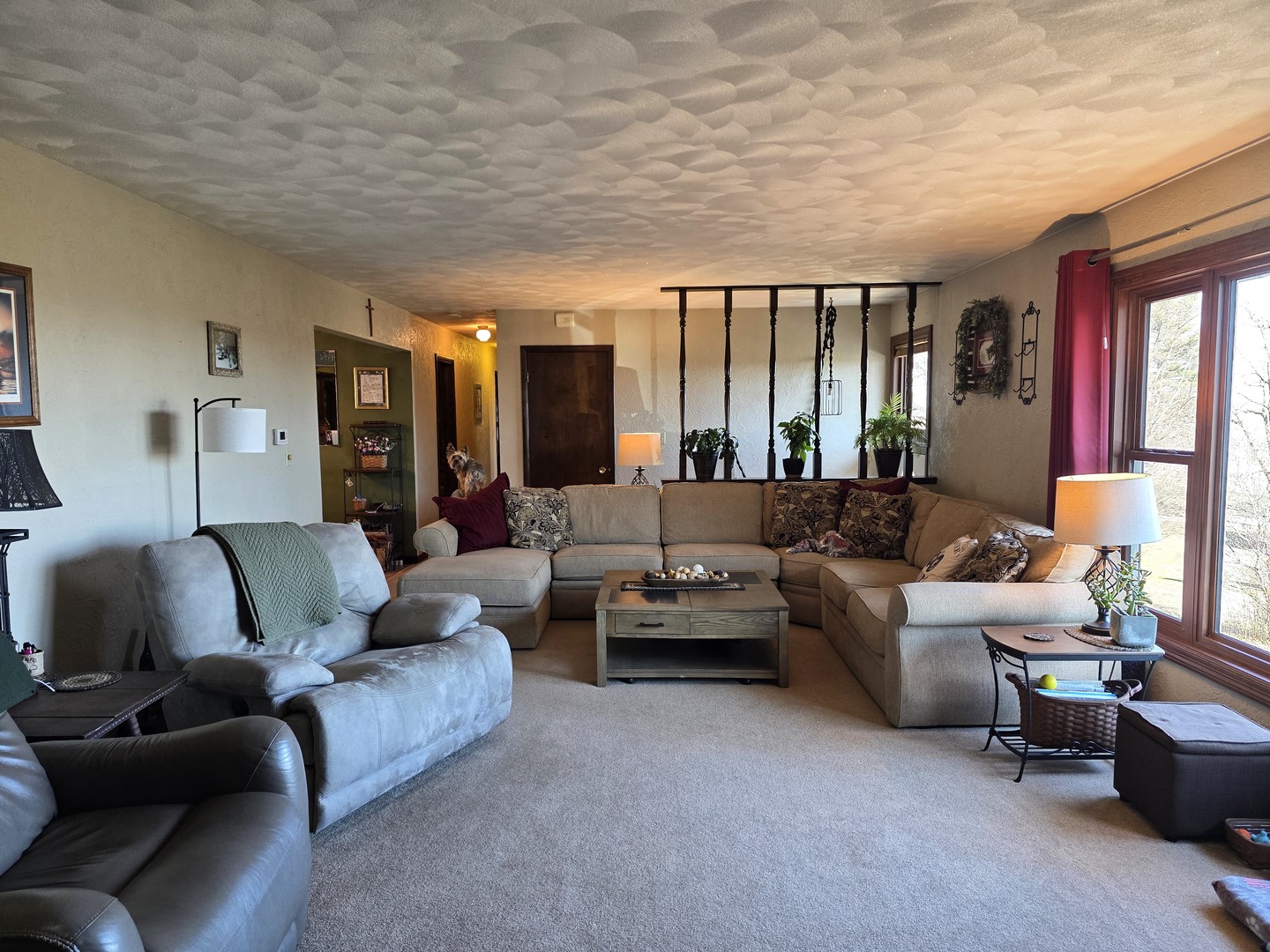 15510 Lomax Road Prophetstown, IL 61277 - Photo 5 of 24 a living room with furniture and large windows