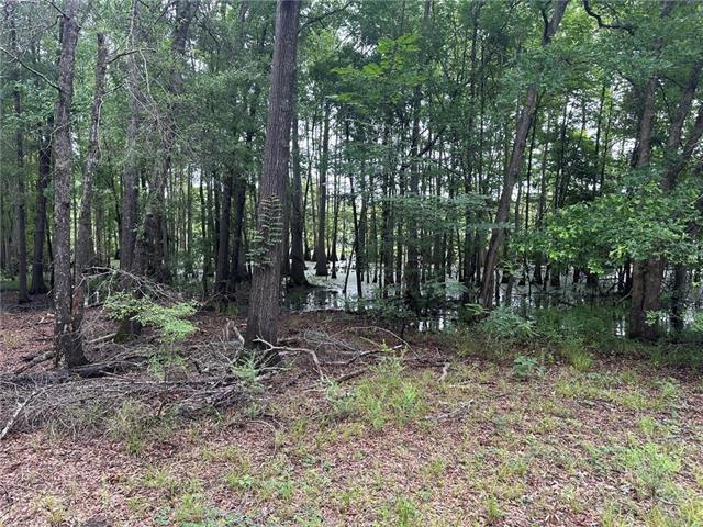 774 Claudes Road Colfax, LA 71417 - Photo 22 of 25