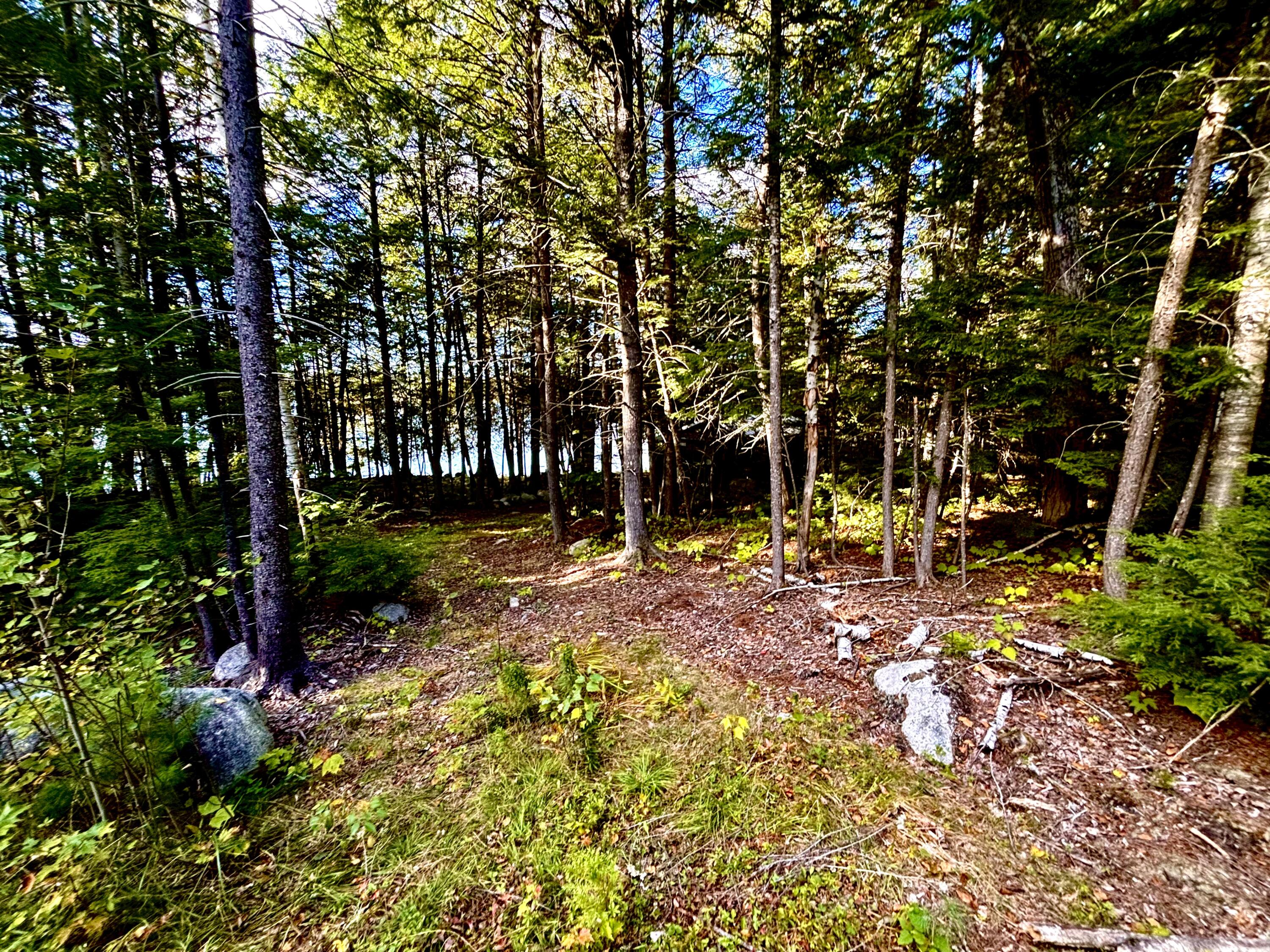 Lot 02 Flat Iron Pond Road Millinocket, ME 04462 - Photo 4 of 28 IMG_7172