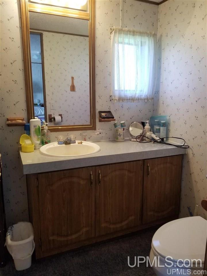 1164 North Co Rd 432 Gulliver, MI 49840 - Photo 14 of 23