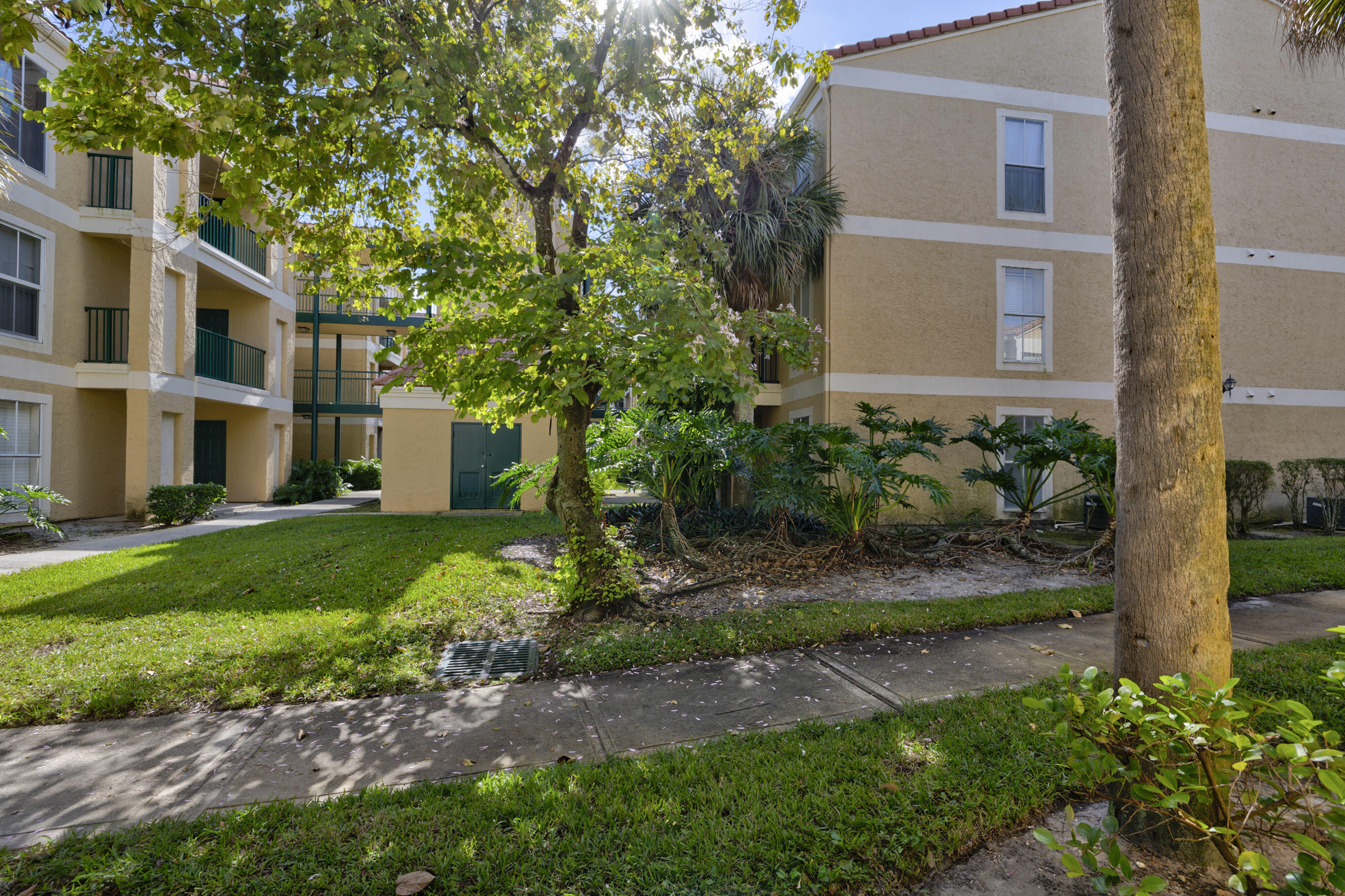 995 Riverside Drive, Unit 111 Coral Springs, FL 33071 - Photo 22 of 24 a backyard of a house with plants and large tree