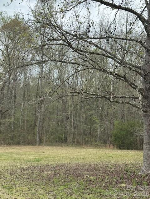1216 Raxter Road Edgemoor, SC 29712 - Photo 14 of 20 a view of a yard