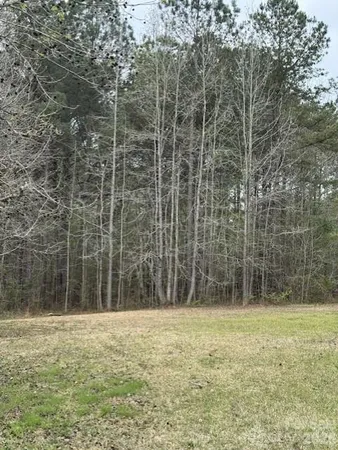 a view of a yard