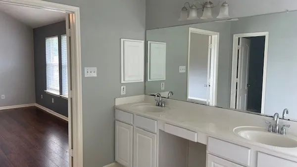 a bathroom with a sink and a mirror
