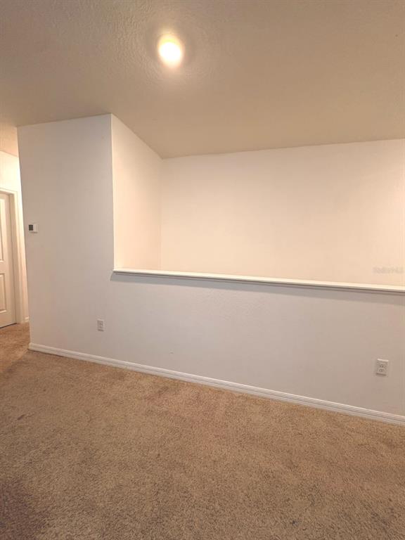 13924 Smiling Daisy Place Riverview, FL 33579 - Photo 30 of 54