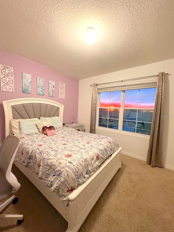 13924 Smiling Daisy Place Riverview, FL 33579 - Photo 32 of 54