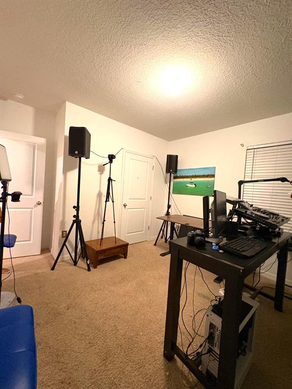 13924 Smiling Daisy Place Riverview, FL 33579 - Photo 34 of 54