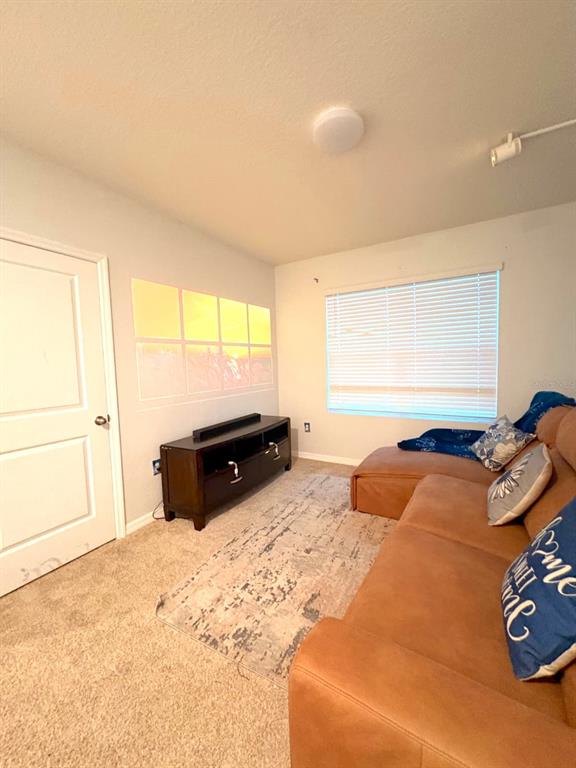 13924 Smiling Daisy Place Riverview, FL 33579 - Photo 36 of 54