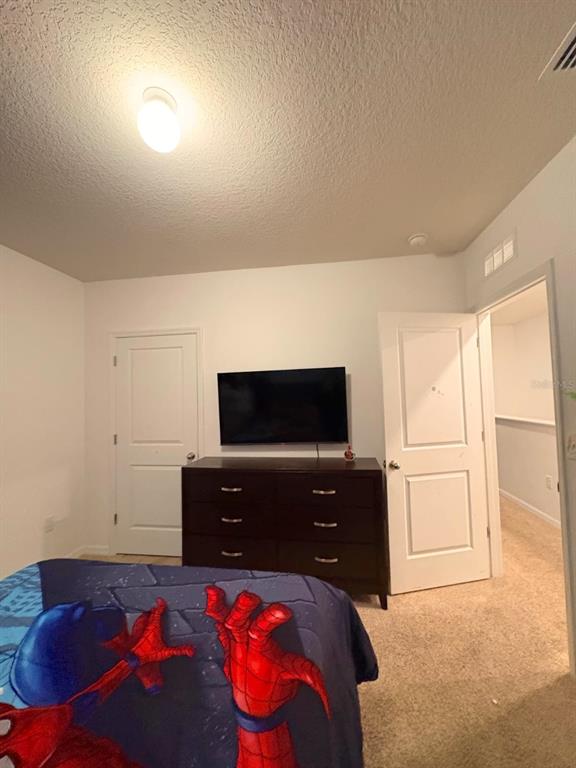 13924 Smiling Daisy Place Riverview, FL 33579 - Photo 38 of 54