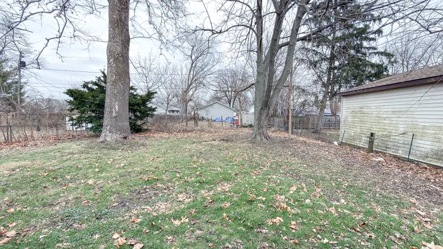 a view of a backyard with large trees