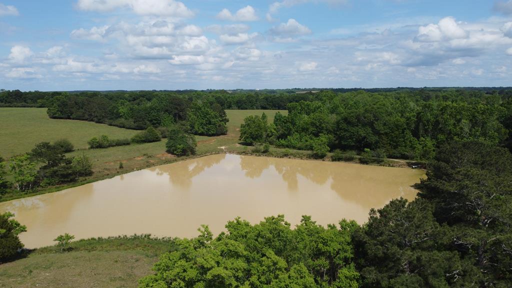 0 County Road 661 Samson, AL 36477 - Photo 5 of 11