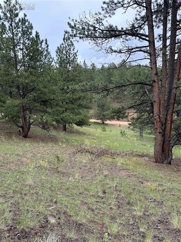421 Pinewood Road Florissant, CO 80816 - Photo 8 of 10