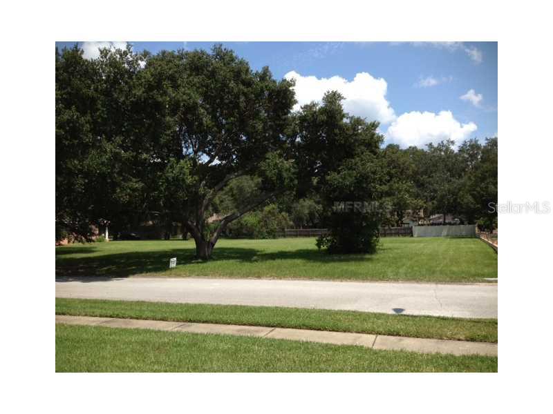 Curry Road Lutz, FL 33549 - Photo 1 of 1 Land/Lot