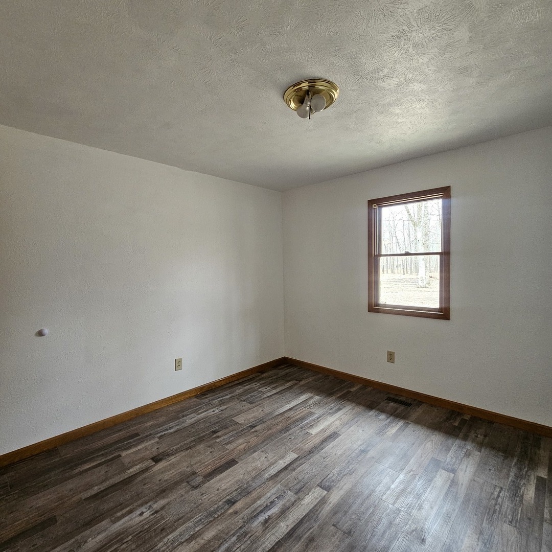 11211 Sam Pyle Bridge Road Benton, IL 62812 - Photo 10 of 11 an empty room with wooden floor and windows