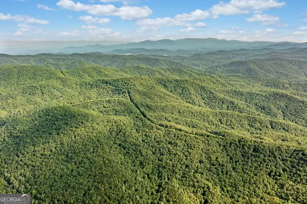 a view of a city with lush green forest