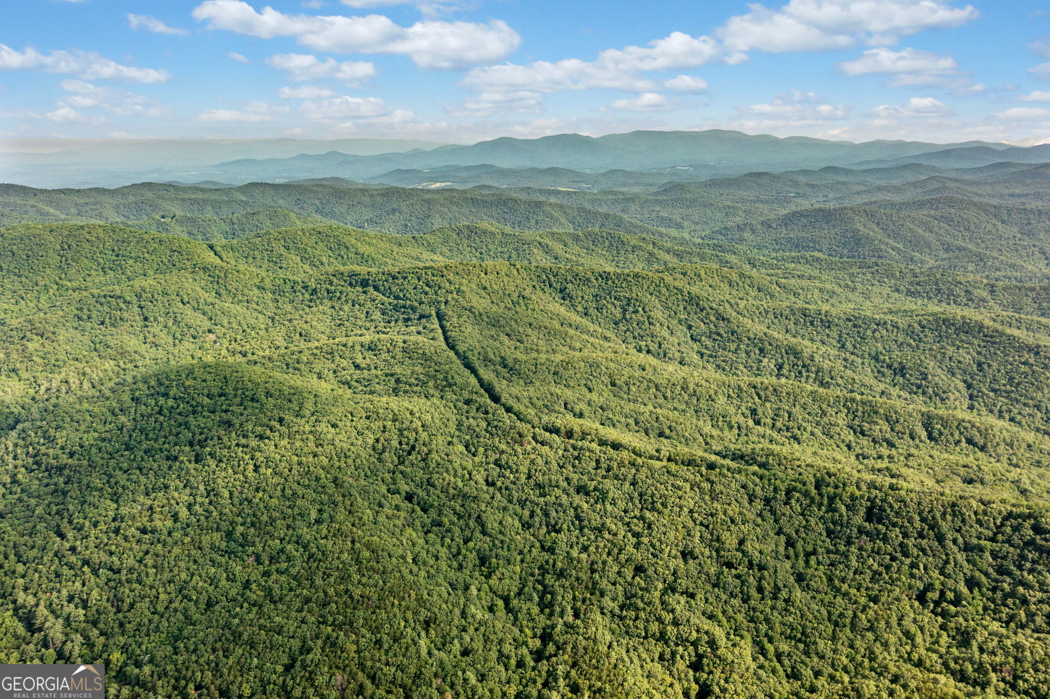 a view of a city with lush green forest