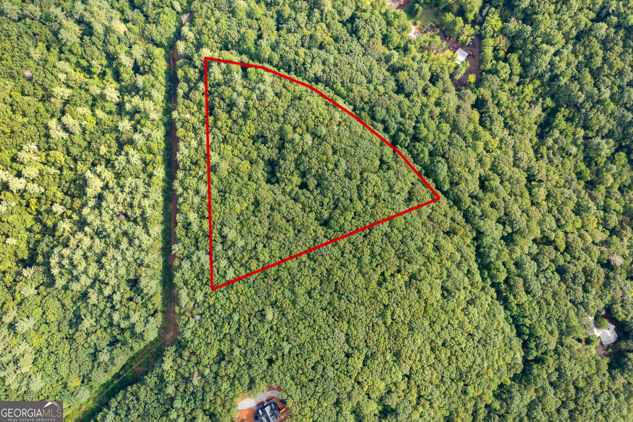 Tract 67 Falls Trail Jasper, GA 30143 - Photo 3 of 11 a view of a lush green forest with a plant