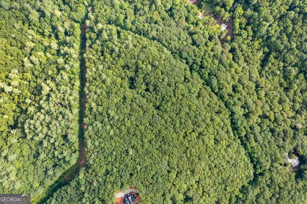 $99,999 | Tract 67 Falls Trail, Jasper, GA 30143