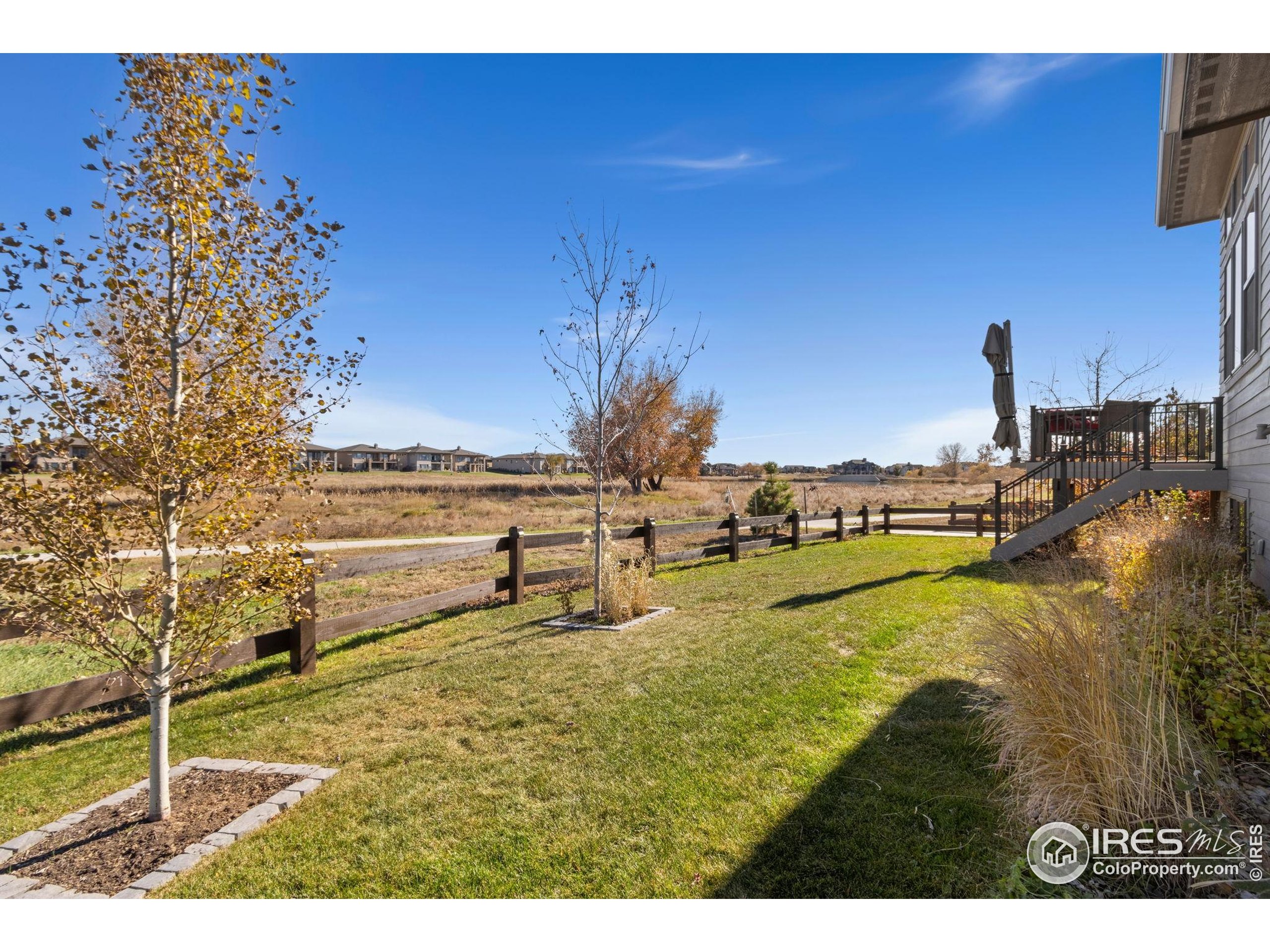 6808 Castello Street Timnath, CO 80547 - Photo 20 of 22