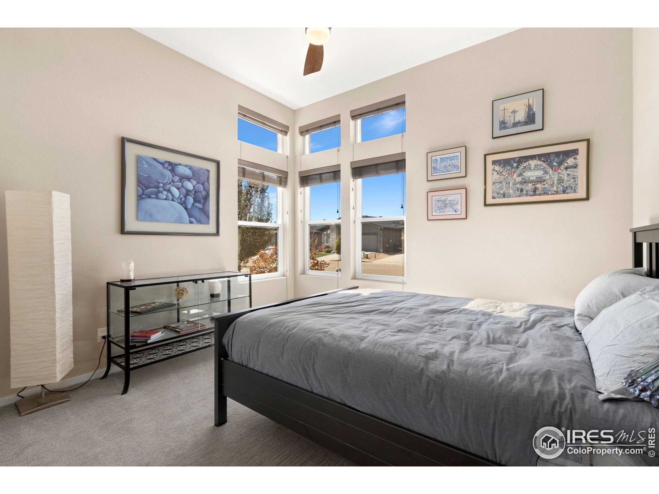 6808 Castello Street Timnath, CO 80547 - Photo 3 of 22 a bedroom with a bed and a window