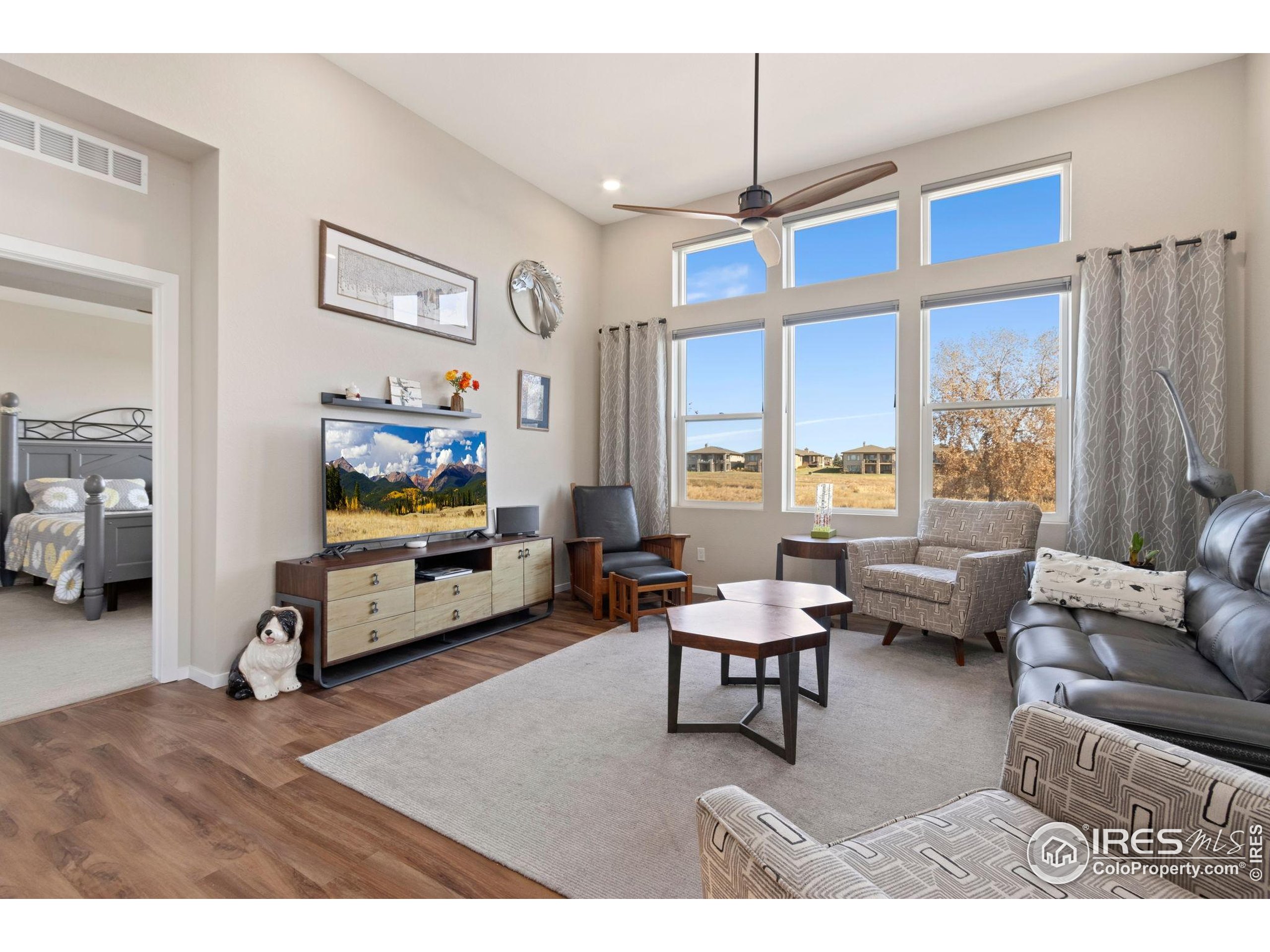 6808 Castello Street Timnath, CO 80547 - Photo 9 of 22 a living room with furniture and a flat screen tv