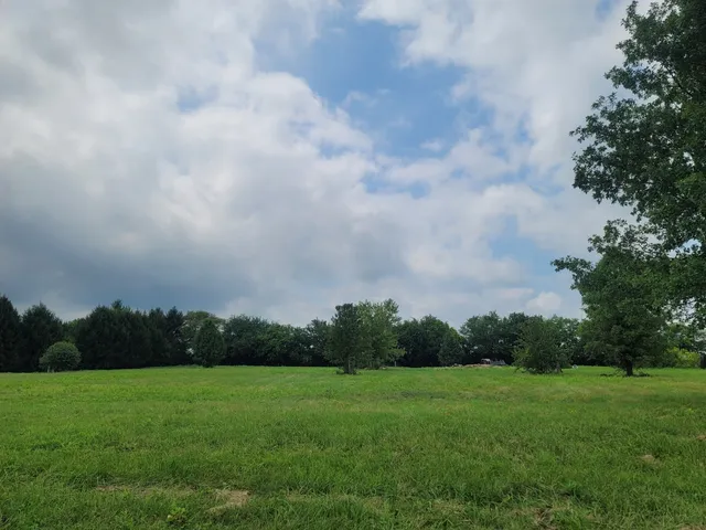 a view of field and trees in background